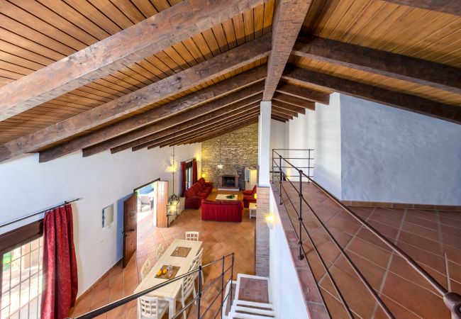 Salón Comedor de Casa El Olivo – Hacienda Roche Viejo (Conil) Salón Comedor de Casa El Olivo – Hacienda Roche Viejo (Conil)