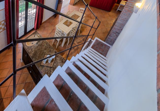 Escaleras de Casa El Olivo – Hacienda Roche Viejo (Conil) Escaleras de Casa El Olivo – Hacienda Roche Viejo (Conil)