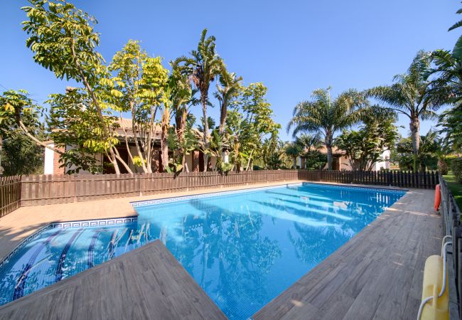 Appartement in Conil de la Frontera - HRV-4 APARTAMENTO LA CHUMBERA 1 DOR. P. ALTA Appartement in Conil de la Frontera - HRV-4 APARTAMENTO LA CHUMBERA 1 DOR. P. ALTA