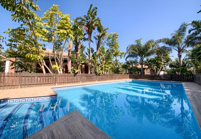 Appartement in Conil de la Frontera - HRV-4 APARTAMENTO LA CHUMBERA 1 DOR. P. ALTA Appartement in Conil de la Frontera - HRV-4 APARTAMENTO LA CHUMBERA 1 DOR. P. ALTA