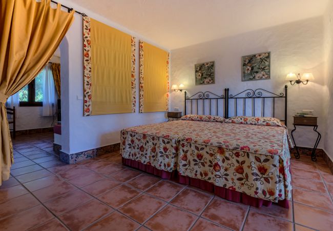 Appartement in Conil de la Frontera - HRV-4 APARTAMENTO LA CHUMBERA 1 DOR. P. ALTA Appartement in Conil de la Frontera - HRV-4 APARTAMENTO LA CHUMBERA 1 DOR. P. ALTA